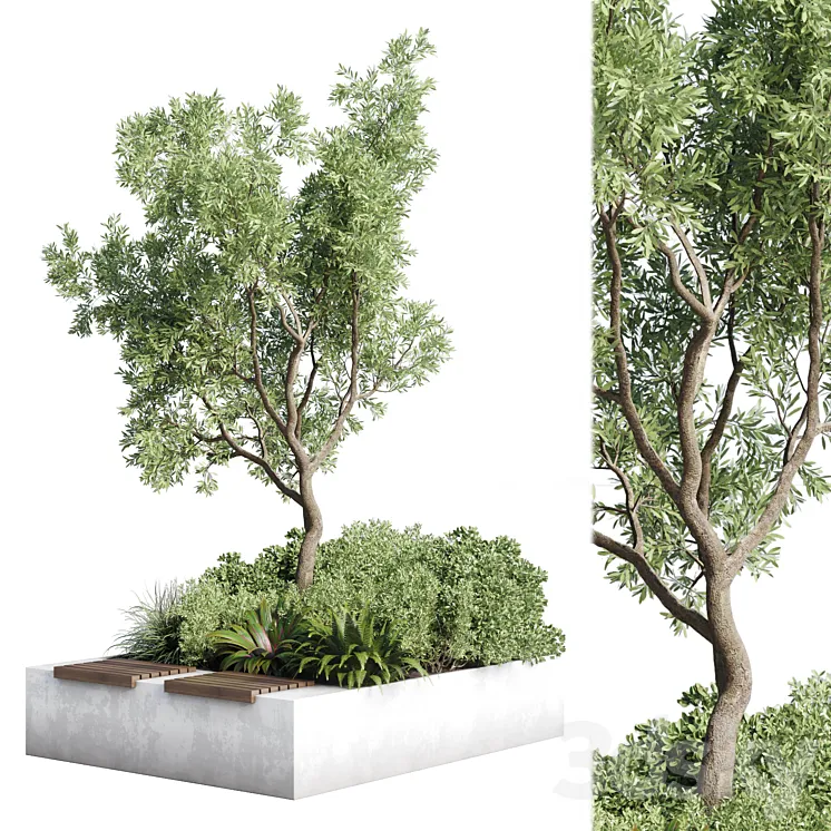 Urban Environment - Urban Furniture - Green Benches - Collection Plants and Tree 11 3D Model Free