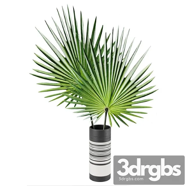 Vase 01 1 Free Download
