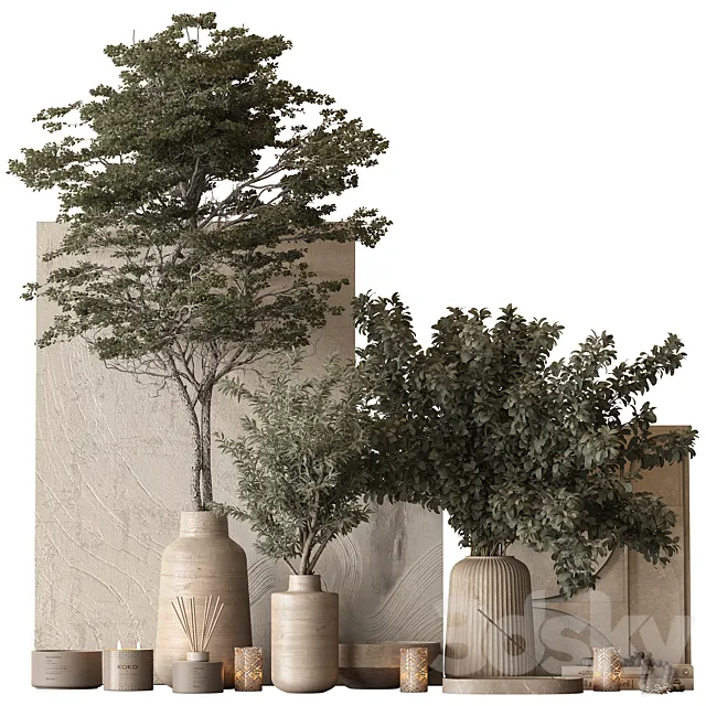 Vase and Plant Decorative Set 147 3D Model