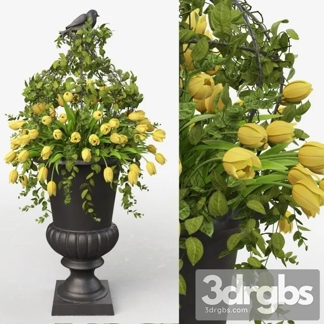 Vase Bouquet Tulips Free Download