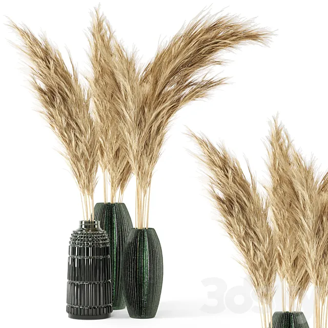 Vase Dry plants 22 - Dried Pampas in handmade vase 3D Model