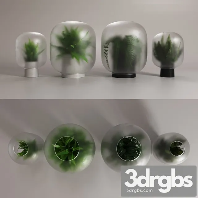 Vase Nebl vases 3D Model Free