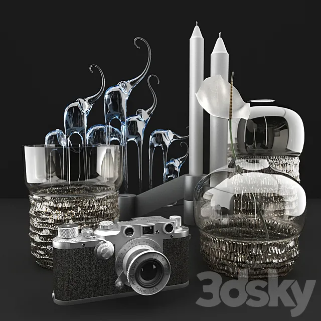 Vases and camera Leica 3D Model