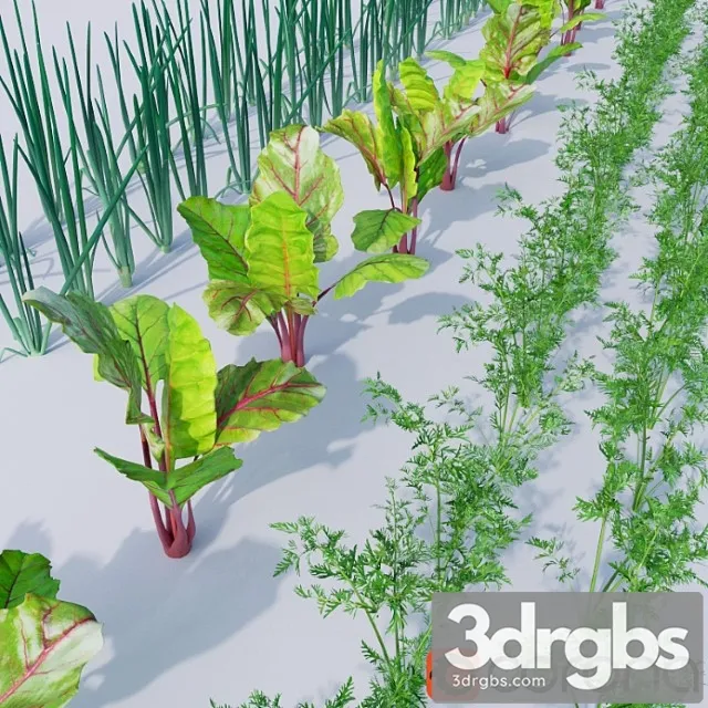 Vegetable Garden 1 3D Model Free
