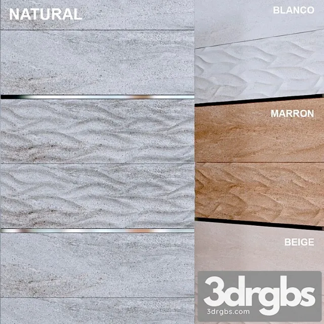 Venis madagascar ona 3D Model Free