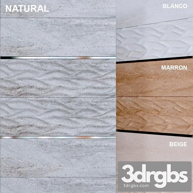 Venis Madagascar ona 3D Model Free