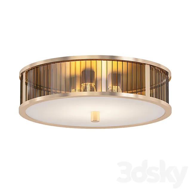 venus 3D Model