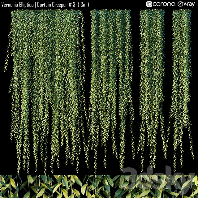 Vernonia Elliptica | Curtain Creeper # 3 (3m) 3DModel