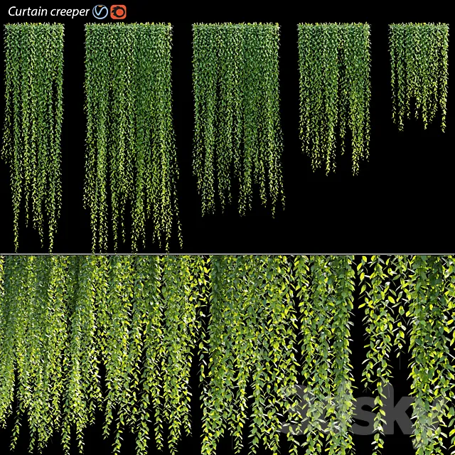 Vernonia Elliptica | Curtain creeper 3D Model