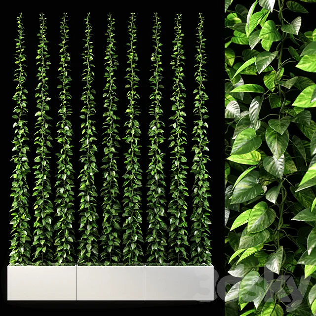 vertical garden 09 3D Model