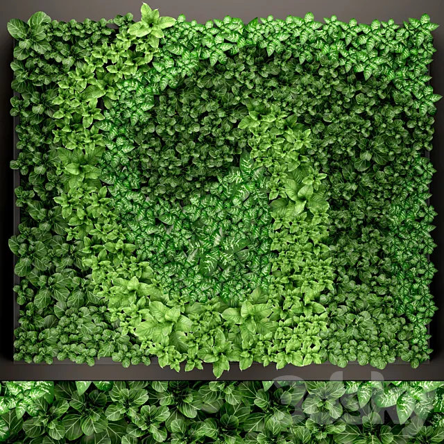 Vertical garden 14. vertical garden green wall phytomodule eco design picture of flowers plants on the wall 3D Model