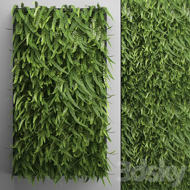 Vertical garden 17. FERN. Fern. phytowall. wall decor. phytomodule. bushes 3DModel