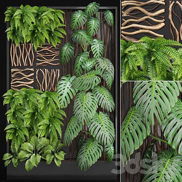 Vertical garden 2. Vertical garden phytowall phytomodl landscaping green picture bush wall decor branches monstera fern alocasia eco eco decor loft 3D Model
