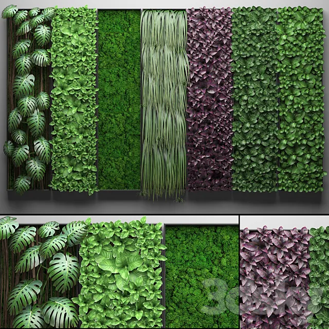 Vertical garden 21.Seven separate modules phytowall phytomodule wall decor landscaping 3D Model