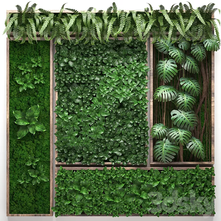 Vertical garden 22. Five separate modules landscaping phytowall phytomodule monstera fern eco design natural decor 3D Model