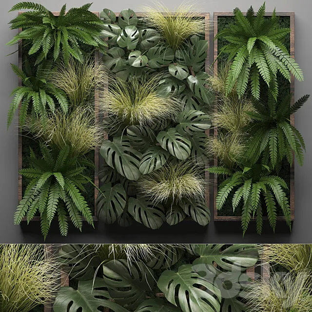 Vertical garden 28. Phytowall picture grass fern monstera wall decor phytomodule vertical garden 3D Model