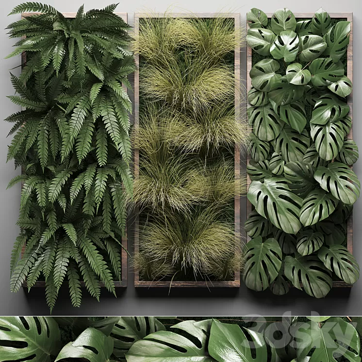 Vertical garden 29. Phytowall picture grass fern monstera wall decor phytomodule vertical garden