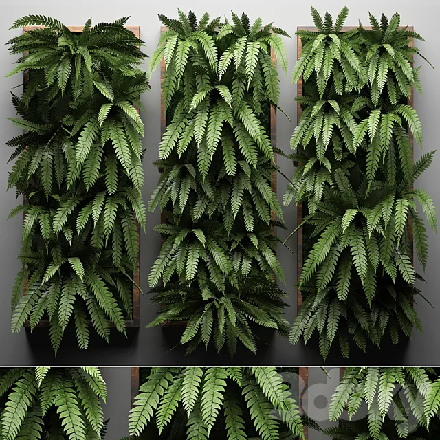Vertical garden 30. fern picture vertical garden phytowall wall decor phytomodule eco design natural materials 3D Model
