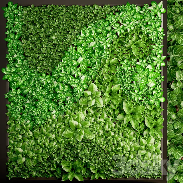 Vertical garden 6. Vertical garden. phytowall. phytomodule. landscaping. green painting. bush. wall decor. eco design Free Download