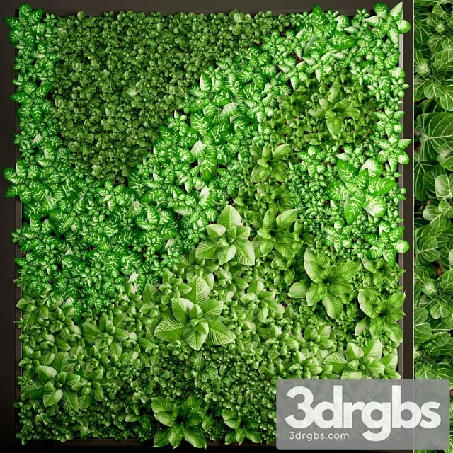 Vertical garden 6. vertical garden, phytowall, phytomodule, landscaping, green painting, bush, wall decor, eco design