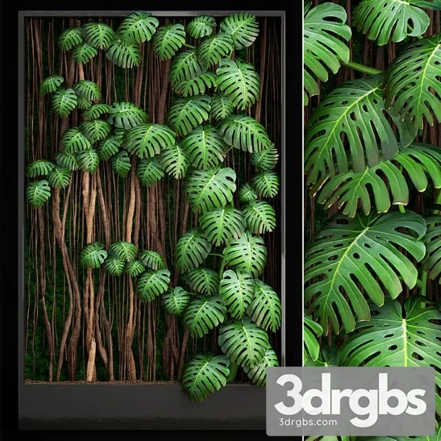 Vertical Garden 9 Monstera Fitostena Fitomodul Eko Dizain Vertikalnyi Sad Dekorativnyi 3D Model Free