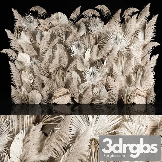 Vertical Garden Of Dried Flowers Pampas Grass Dry Palm Branches Cortaderia Bouquet And Dry Reeds 283 3D Model Free
