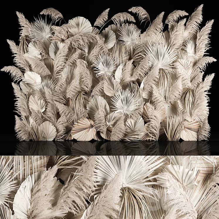 Vertical garden of dried flowers pampas grass dry palm branches Cortaderia Bouquet and dry reeds. 283. 3D Model Free Download