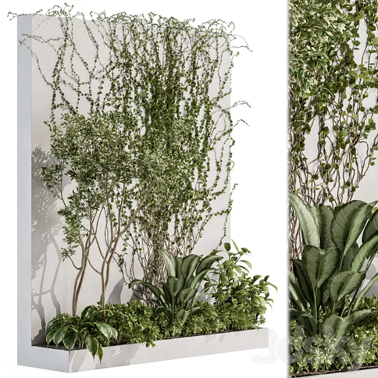 Vertical Garden Outdoor - Wall Decor 41 3D Model Free