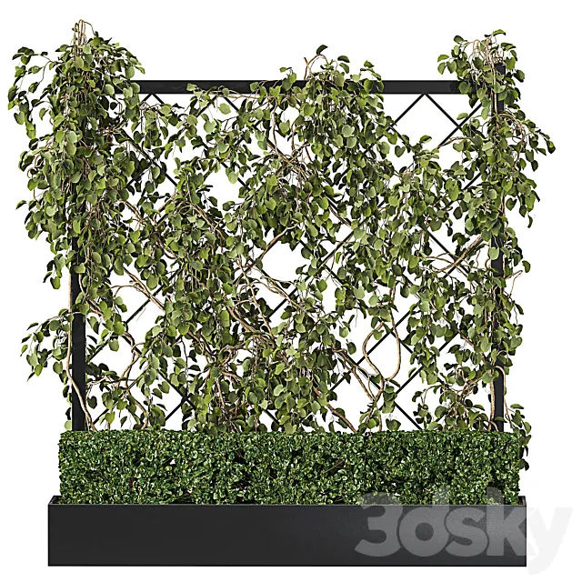 Vertical Garden – Planter with trellis 3D Model