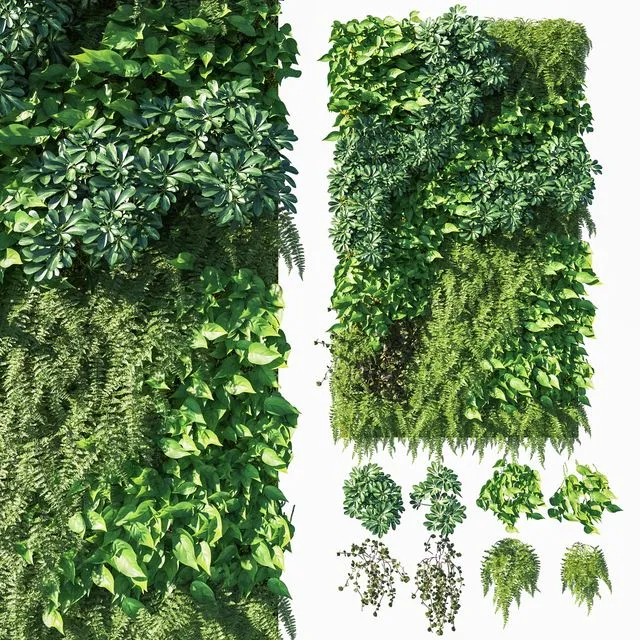 Vertical garden_ Green wall 03 3D Model