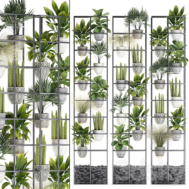 Vertical gardening. 31. Shelf with flowers grass ficus Raphis indoor plants vertical garden phytowall phytomodule pots eco design sansevieria ficus lyrata Raphis palm rack 3D Model