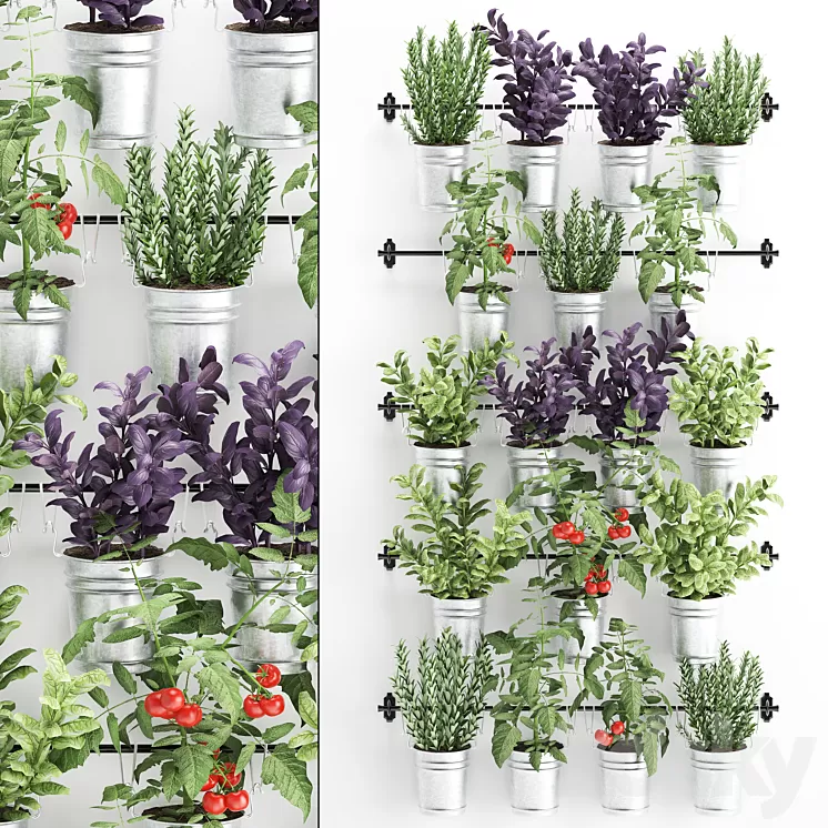 Vertical gardening. 33. Kitchen garden vegetable garden vegetables herbs tomatoes rosemary basil railing phytowall phytomodule 3D Model