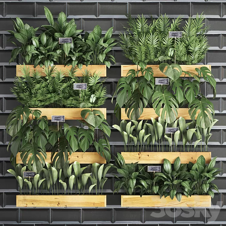 Vertical gardening. 40. Shelf with flowers monstera areca palm tree indoor plants black tiles phytowall phytomodule eco design vertical garden 3D Model