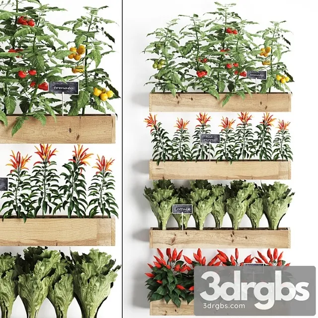 Vertical Gardening 45 Kitchen Garden Kitchen Garden Vegetables Herbs Peppers Tomatoes Tomatoes Lettuce Phytomodule Phytowall Eco Design Natural Decor Vegetable Garden Free Download