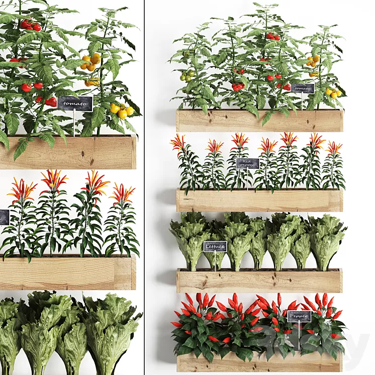 Vertical gardening. 45 Kitchen garden kitchen garden vegetables herbs peppers tomatoes tomatoes Lettuce phytomodule phytowall eco design natural decor vegetable garden 3D Model