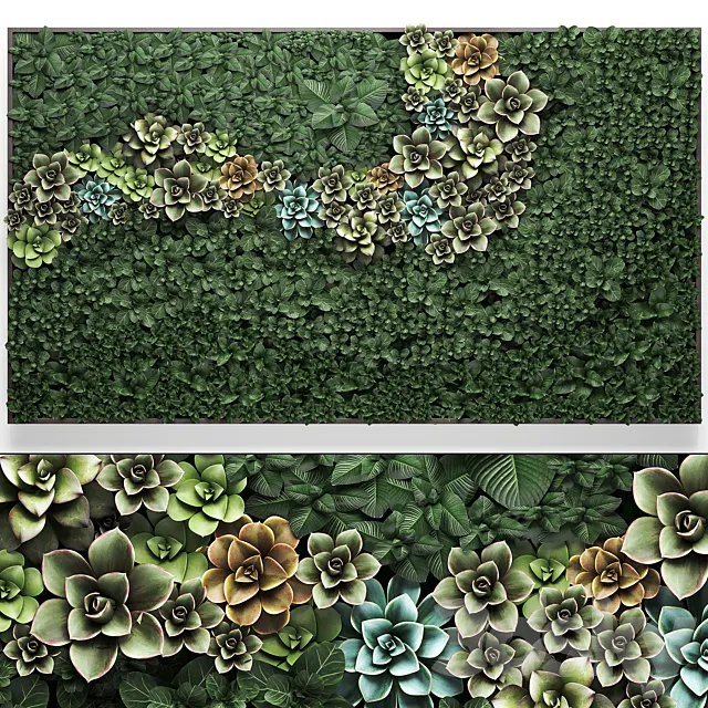 Vertical gardening a garden of plants in a composition of succulents. Echeveria. phytosten. phytomodule. painting. Set 52. 3DModel