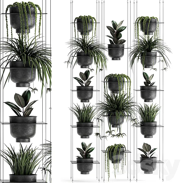 Vertical gardening home garden flower shelf with Chlorophytum Ficus Rowley's Krestovnik phytostena phytomodule. Set 61 3D Model