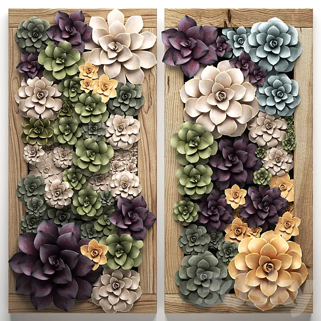 Vertical gardening home garden in a wall pot frame of succulents Echeveria painting. Set 54 3D Model