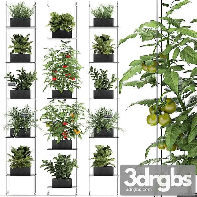Vertical gardening kitchen garden garden with vegetables, tomatoes, peppers, herbs, lettuce, rosemary. set 69.