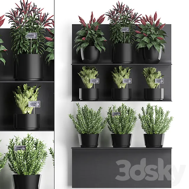 Vertical gardening kitchen garden vegetable garden on a metal shelf with vegetables pepper rosemary herbs loft phytostena. Set. 51 3D Model