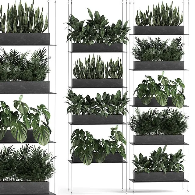 Vertical gardening of the home garden on a black flower shelf with a Monstera a phytosten a phytomodule. Set of 64 3D Model