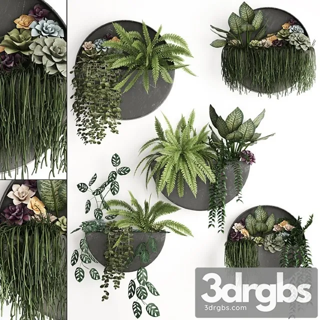 Vertical Greening 56 Garden Wall Decor Fern Succulents Black Metallic Polka Flowers Loft Hanging 3D Model Free