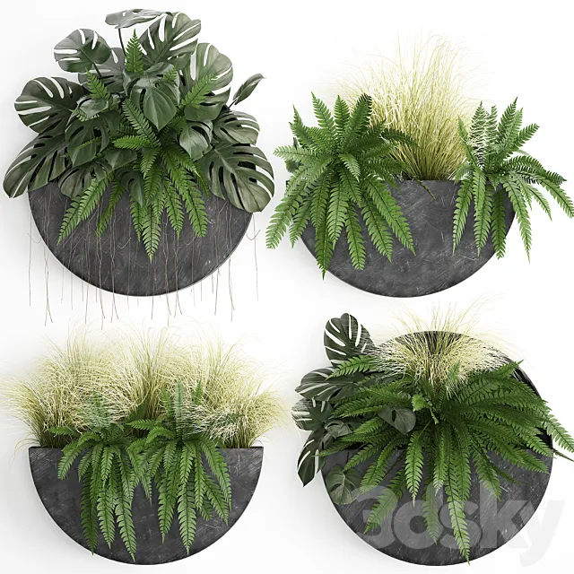 Vertical landscaping for the wall with a black metal shelf with flowers garden fern monstera grass. Set 57 3D Model
