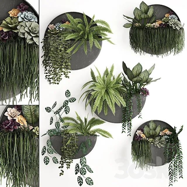 Vertical landscaping for the wall with a black metal shelf with Garden. Succulents. hanging plants. Ferns. Set 56 3DModel