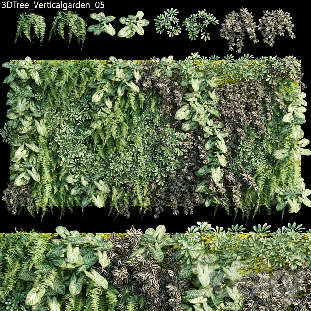 Verticalgarden - Green wall 05 3D Model