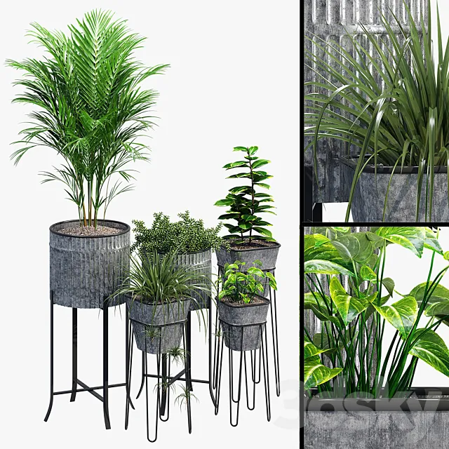 Verville brunelle 3D Model