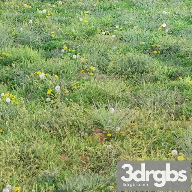 Vesenne Letniaia Trava 3D Model Free
