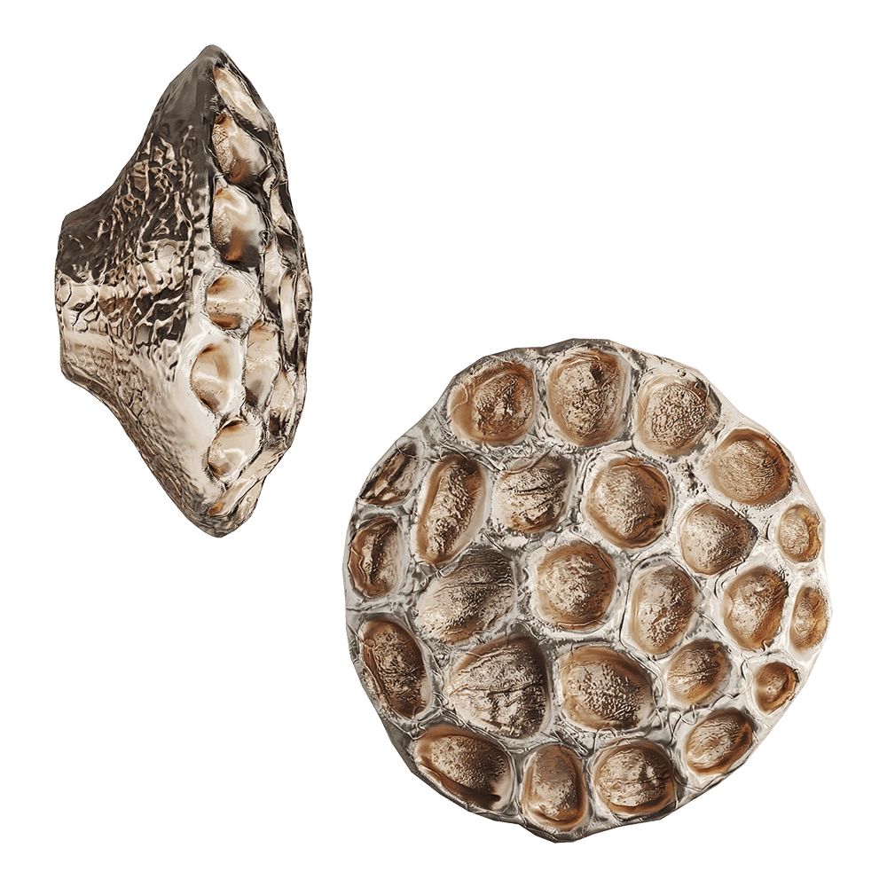 Vetvi - Earth 3D Model