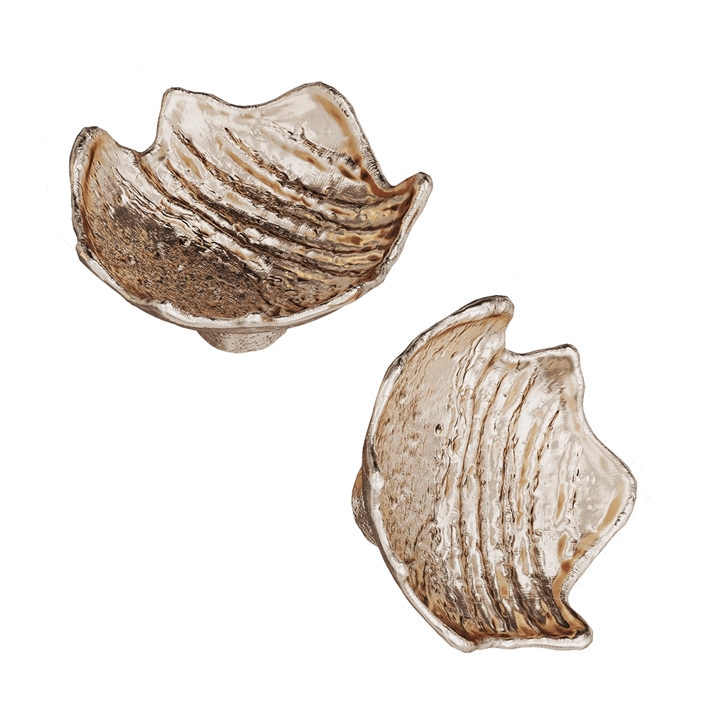 Vetvi - Grib 3D Model