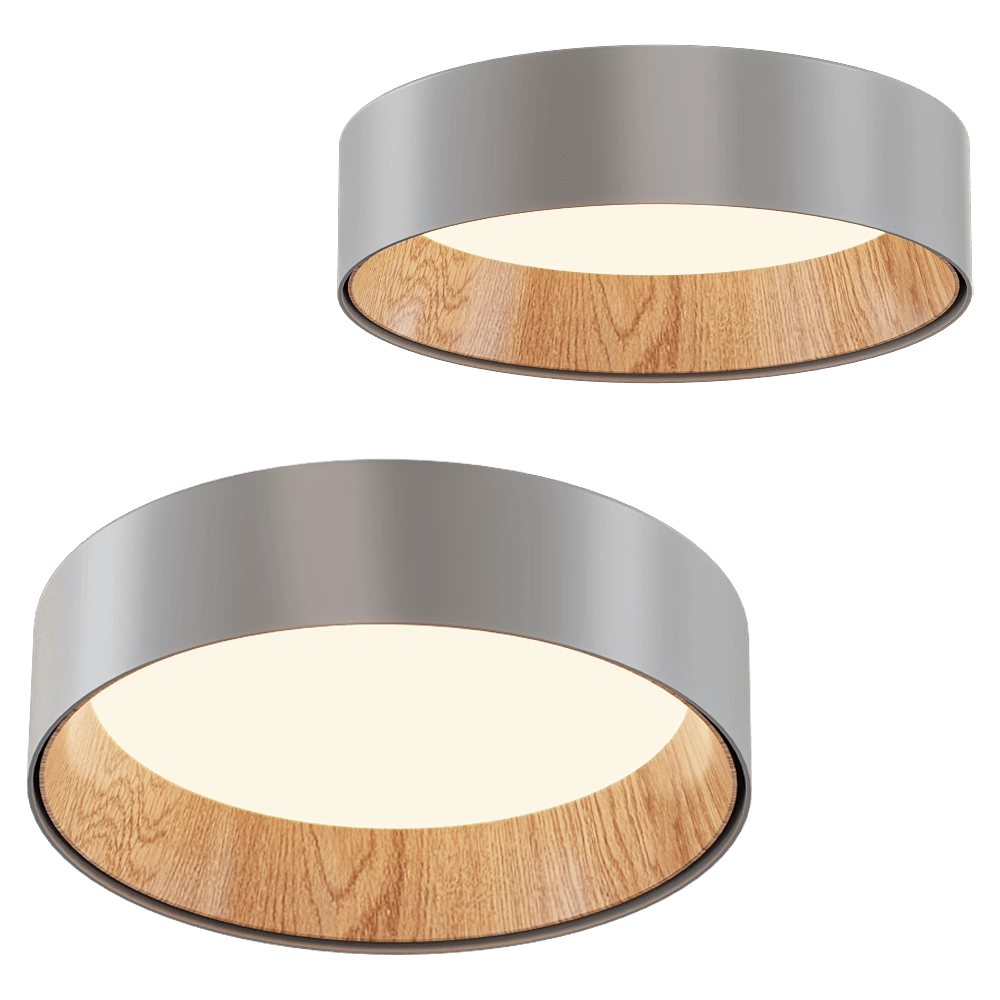Vibia - Ceiling lamp Duo 4870 3D Model